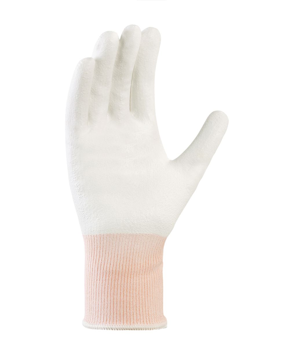 Bekleidung, Handschuh