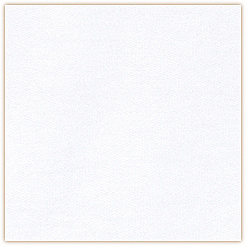 T-Shirt V-Neck Uwe FLEXT04 Flex Line in Weiß, Gr. XS von Leibwächter